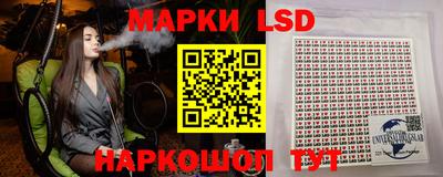 шишки Заводоуковск