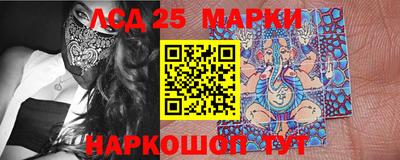 шишки Заводоуковск
