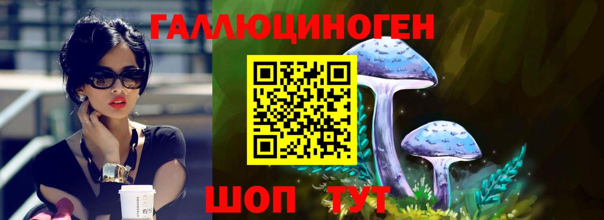 Псилоцибиновые грибы MAGIC MUSHROOMS Зима